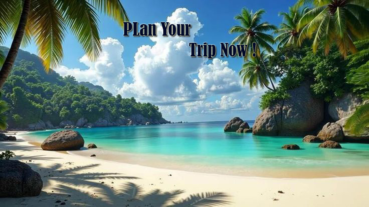 tours with best package